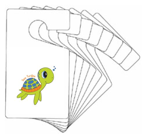  Carpool tag with a south lakes sea turtle 